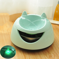 Automatic Pet Water Fountain for Cats and Dogs
