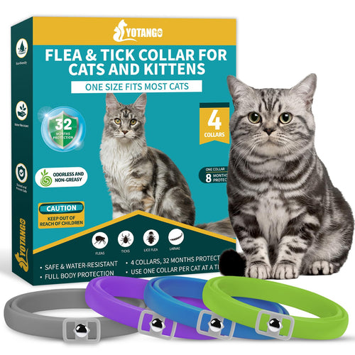 4 Pack Flea Collar for Cats Cat Flea and Tick Collar 8 Months Cat Flea Collar Treatment Prevention Adjustable Waterproof Cat Flea Collar Kitten Natural Tick and Flea Collar for Cat 4 Color